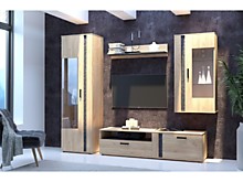 Мебель для гостиной МГС-1  (226,2х42,5х200)